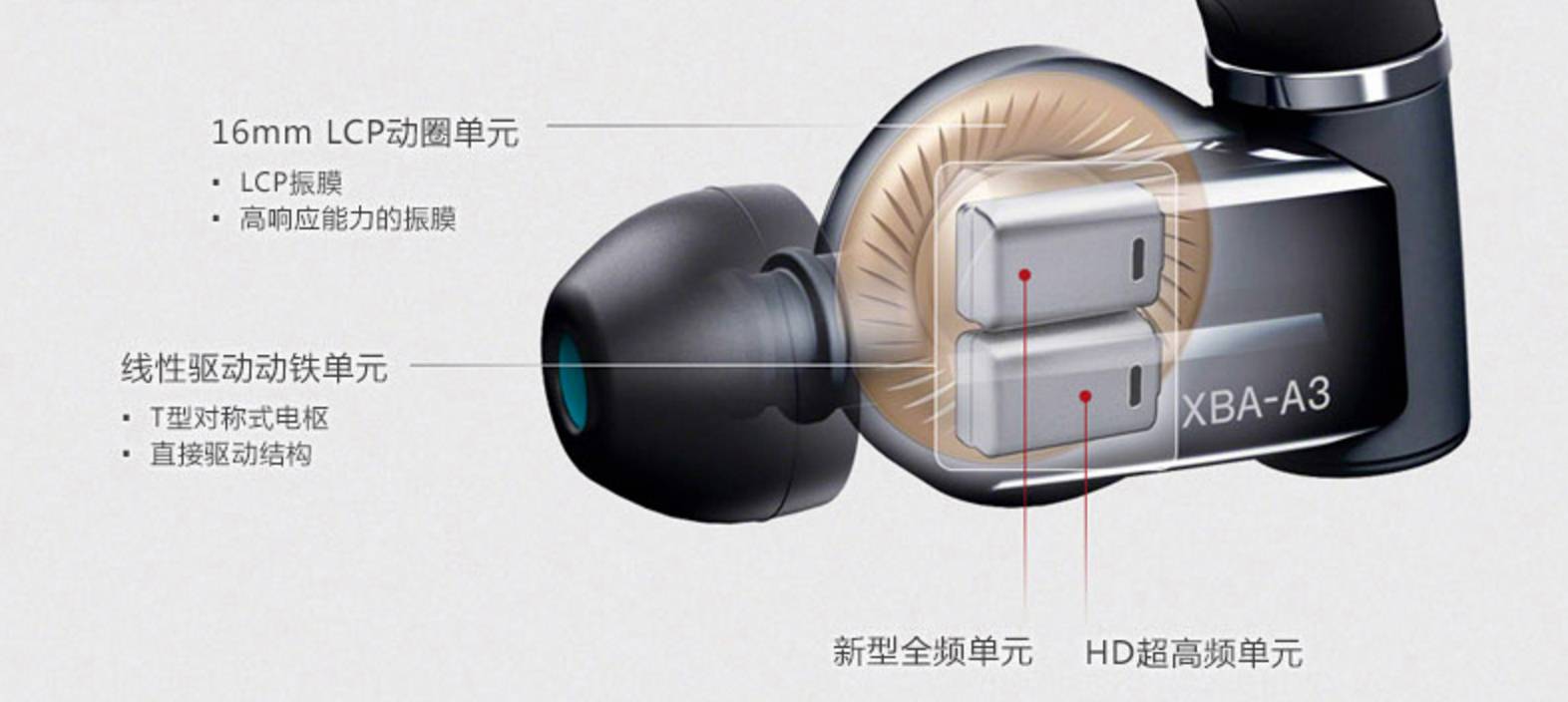 【品社分享】耳朵的怀孕指南-怀孕期