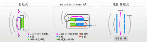 【品社分享】耳朵的怀孕指南-怀孕期