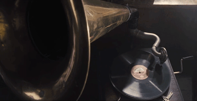 【品社分享】耳朵的怀孕指南-怀孕期