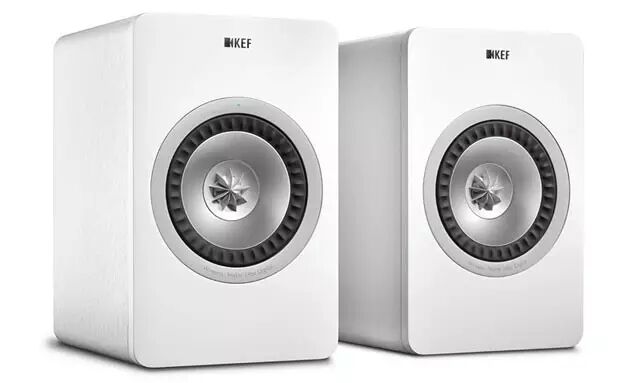 【品社分享】耳朵的怀孕指南-怀孕期