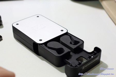 【品社分享】耳朵的怀孕指南-怀孕期