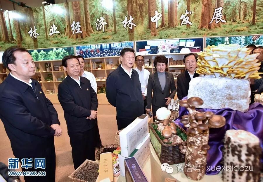 这是5月23日上午，习近平在伊春市生态经济开发区规划展示厅观看生态产品展示，了解林区全面停伐后产业接续发展情况。 新华社记者 李涛 摄