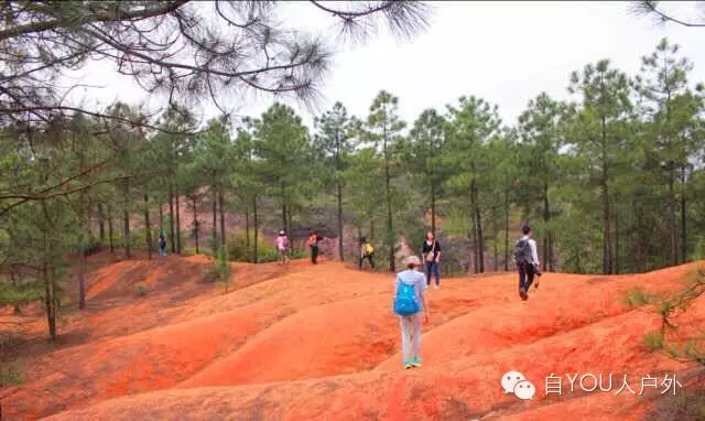 (8)4月19日登清遠馬頭石賞丹霞地貌腐敗休閑游-戶外活動圖-駝鈴網(wǎng)