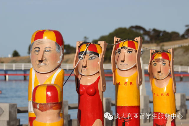 Deakin站Searoad环海游火爆！因为只要39刀！现增加电话预定，名额有限速度报名！