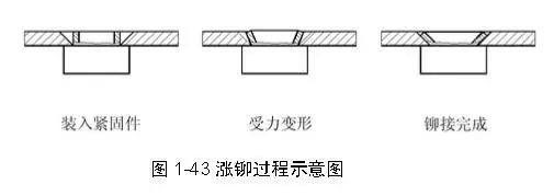 铆螺母