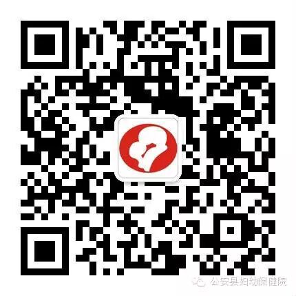 流产后多久适合再怀孕?