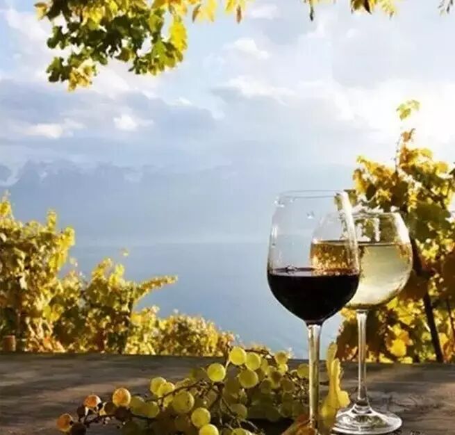 当女人打开红酒的世界