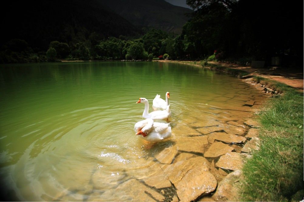 回眸的一瞬间，明白了爱情。505 / 作者:碧澄匀 / 帖子ID:116043