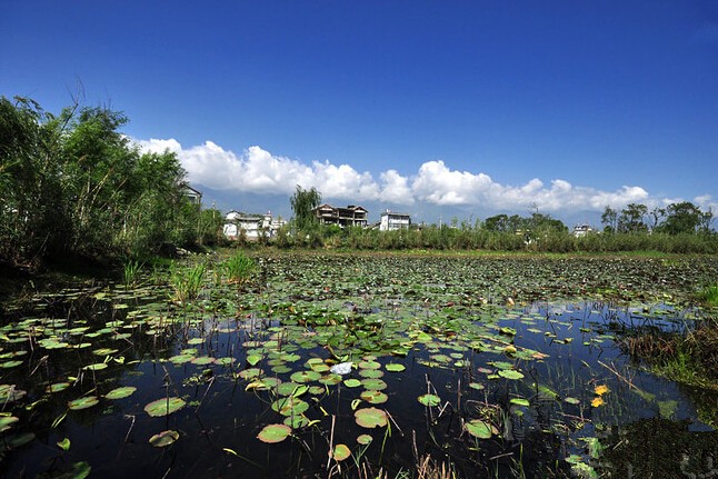 回眸的一瞬间，明白了爱情。928 / 作者:碧澄匀 / 帖子ID:116043