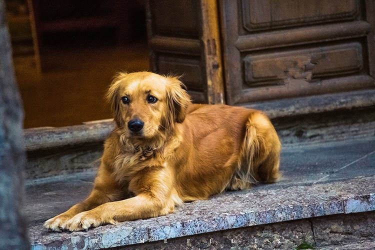 回眸的一瞬间，明白了爱情。82 / 作者:碧澄匀 / 帖子ID:116043