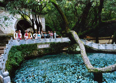 回眸的一瞬间，明白了爱情。857 / 作者:碧澄匀 / 帖子ID:116043