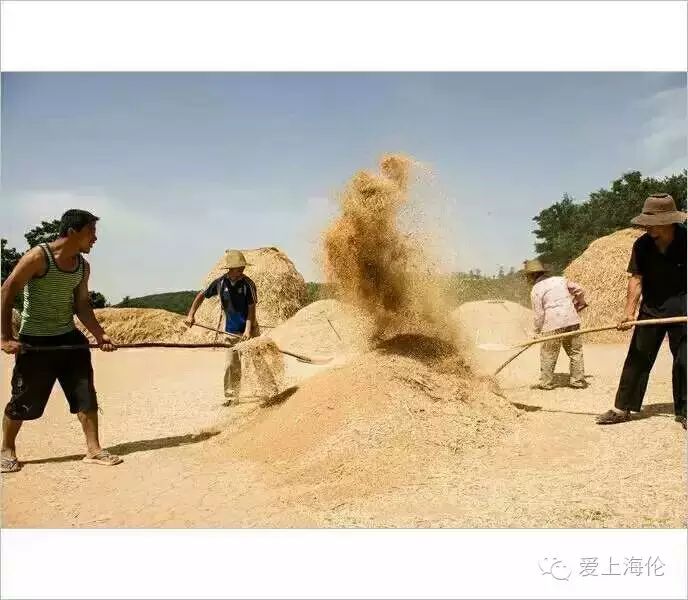 《东北记忆》之八『劳作篇』