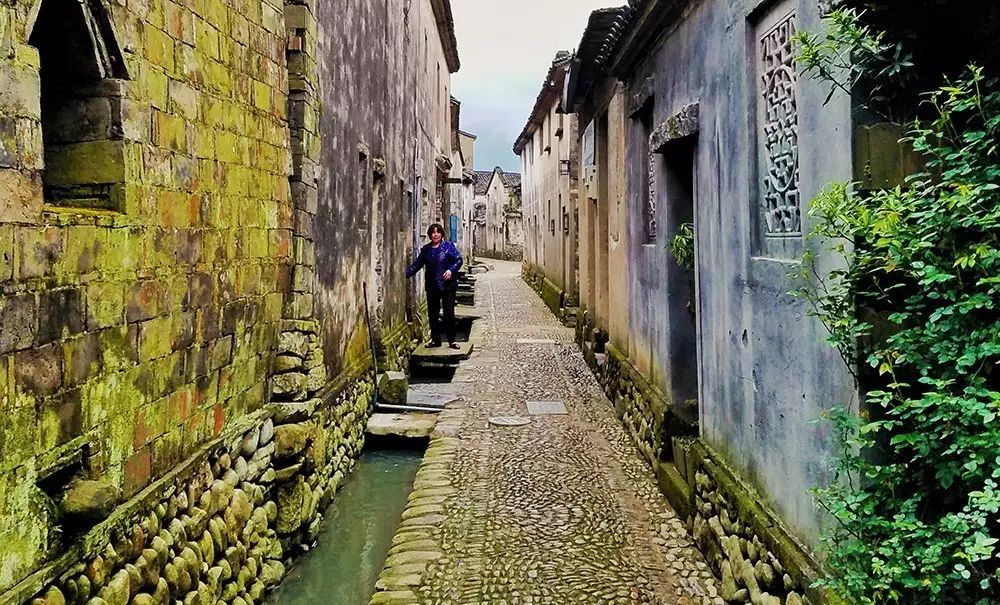 在陈坤撩过妹的前童雨巷,他重建了阿拉童年里的四合小院