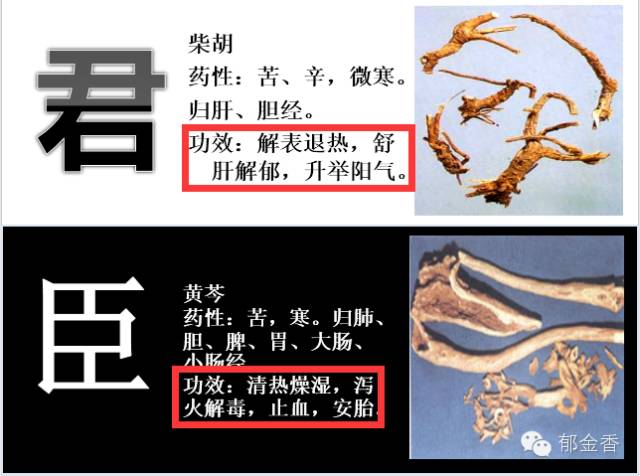 【名方传承】朗致小柴胡汤丸：千古经方伤寒论，和解表里治感冒，疏肝理气驱肝病，疑难杂症药到除！