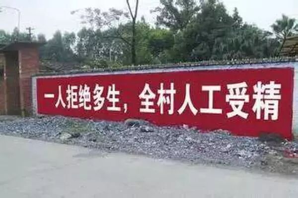 【全面二胎】搞笑标语,太牛了!!-怀孕期