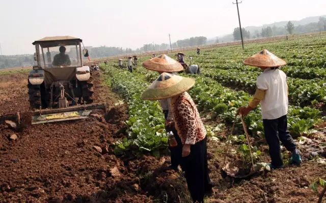 2016，国家将对农村全面“动手”！