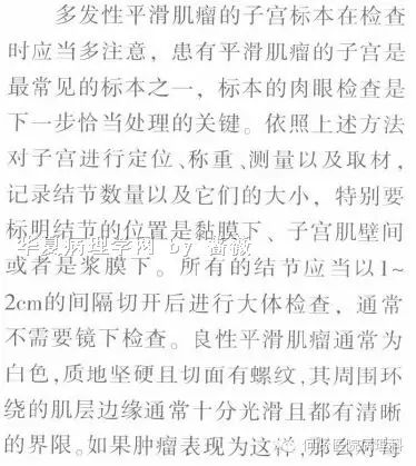 21岁，恶性潜能未定的平滑肌瘤，如何理解？