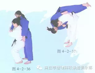 柔道联络方法图解教学(二):双手背负投