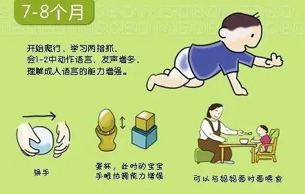 0~3岁宝宝发展乖乖网大揭秘！