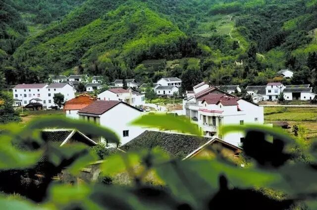 【关注】会东铁柳镇:城乡换新颜  幸福指数高