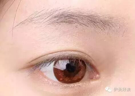 纹的眉毛变红财运不好_眉毛财运线_眉毛纹的变成红色了怎么能去掉