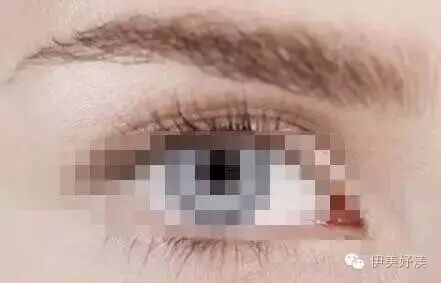 眉毛财运线_眉毛纹的变成红色了怎么能去掉_纹的眉毛变红财运不好