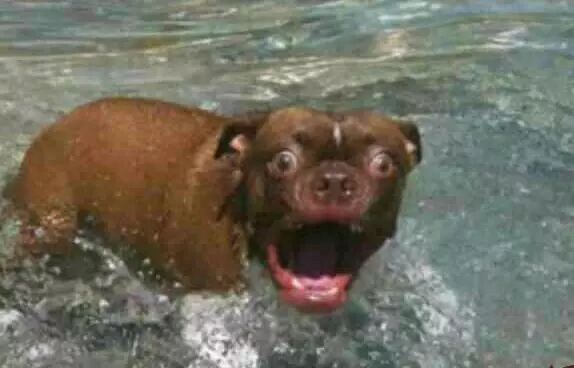 内涵笑图：老王，你竟然有俩菊花！315 / 作者:thkfh / 帖子ID:112396