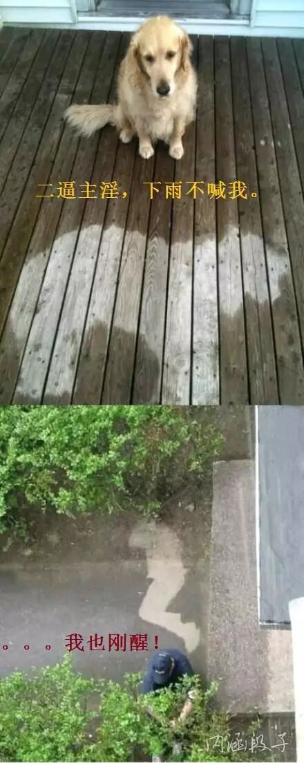 今日精选段子 ：老公去了外地，只剩下我和儿子在家70 / 作者:thkfh / 帖子ID:112395