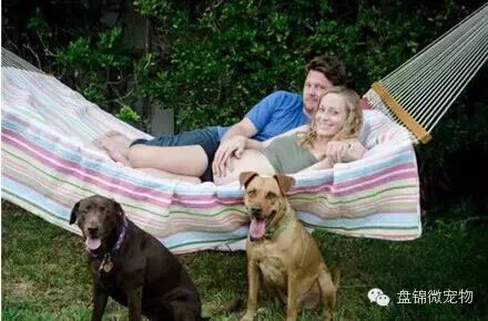 怀孕弃养,丢弃的不只是朋友-怀孕期