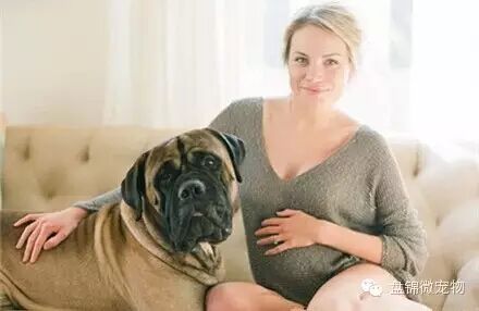 怀孕弃养,丢弃的不只是朋友-怀孕期