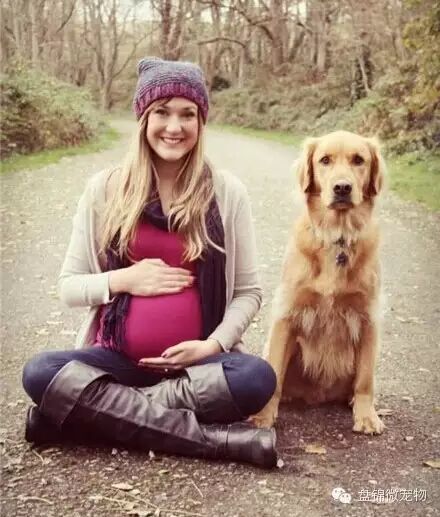 怀孕弃养,丢弃的不只是朋友-怀孕期