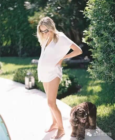 怀孕弃养,丢弃的不只是朋友-怀孕期