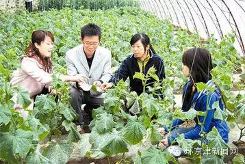 【村官】廊坊市2014省选聘大学生村官名单出炉