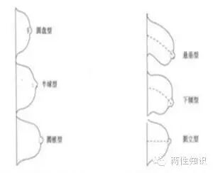 两性知识:女人什么样的乳房最美?-怀孕期