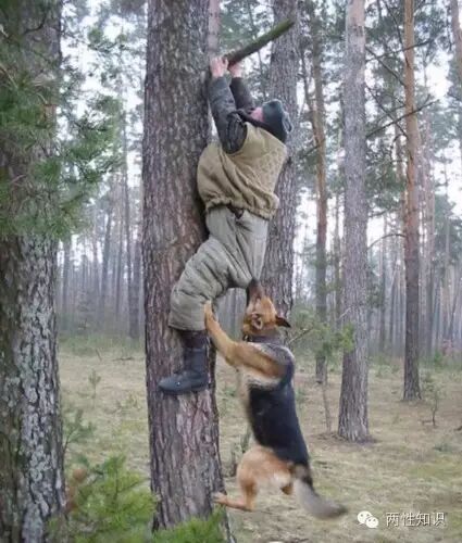 两性知识:婚外情的10大危害-怀孕期