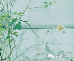 致正在老去的60后…       附李健《月光》