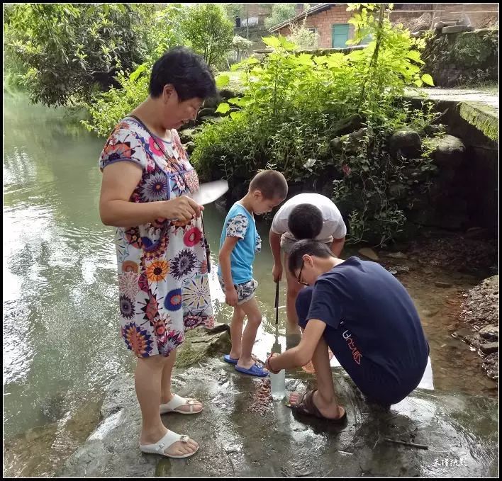 一群小孩在万福桥的泉水里捉小鱼虾.