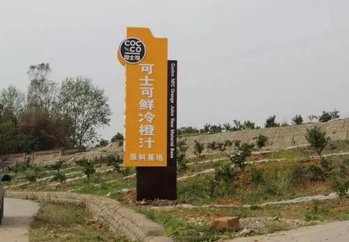 养鸡致富经_致富项目养鸡_致富养鸡视频