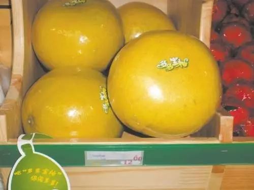 致富养鸡视频_养鸡致富经_致富项目养鸡