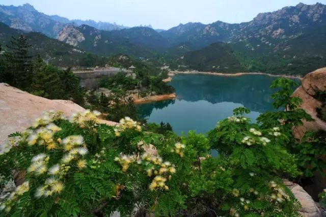 或自驾二龙山是崂山国家森林公园腹地,景区内古树参天,奇石林立,终年