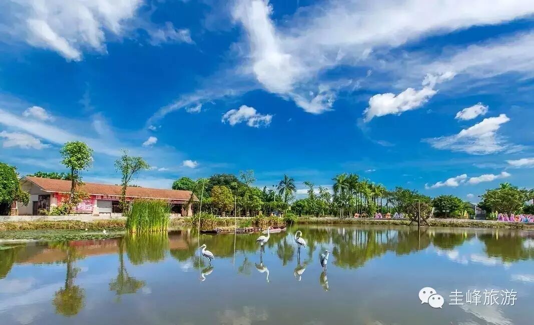 【神曲】听完耳朵会怀孕!江门旅游出神曲啦!-怀孕期