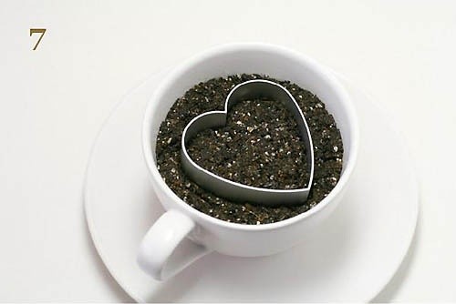 你还在买盆栽？太落后了，看看这个吧！ - suay123“阿庆嫂” - 阿庆嫂欢迎来自远方的好友！