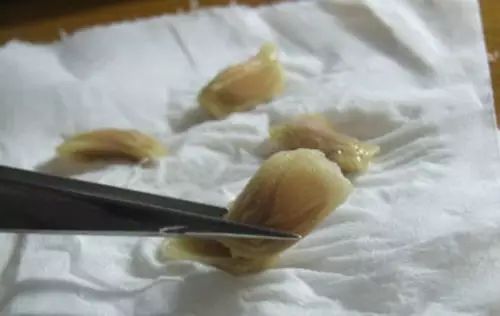 你还在买盆栽？太落后了，看看这个吧！ - suay123“阿庆嫂” - 阿庆嫂欢迎来自远方的好友！