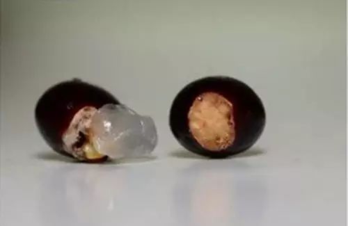 你还在买盆栽？太落后了，看看这个吧！ - suay123“阿庆嫂” - 阿庆嫂欢迎来自远方的好友！