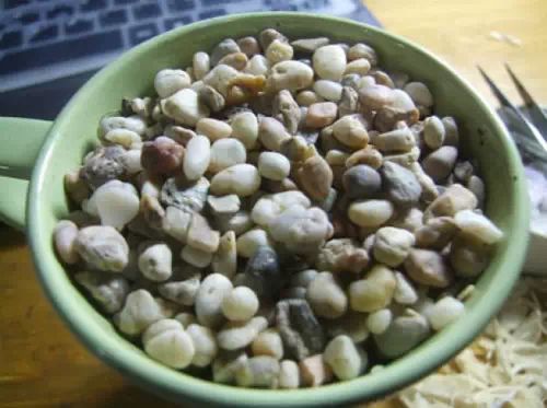 你还在买盆栽？太落后了，看看这个吧！ - suay123“阿庆嫂” - 阿庆嫂欢迎来自远方的好友！