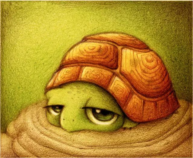 乌龟都不冬眠了,你还不如它?