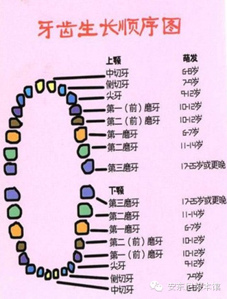 一颗超级顽固的牙你的牙齿也这样顽固吗