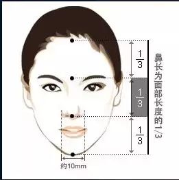 鼻子看相:五种富贵鼻