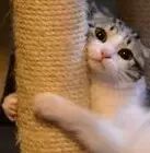 00后少女竟怀孕做阿妈,13岁晒情侣照!朋友圈一夜间被刷爆…-怀孕期