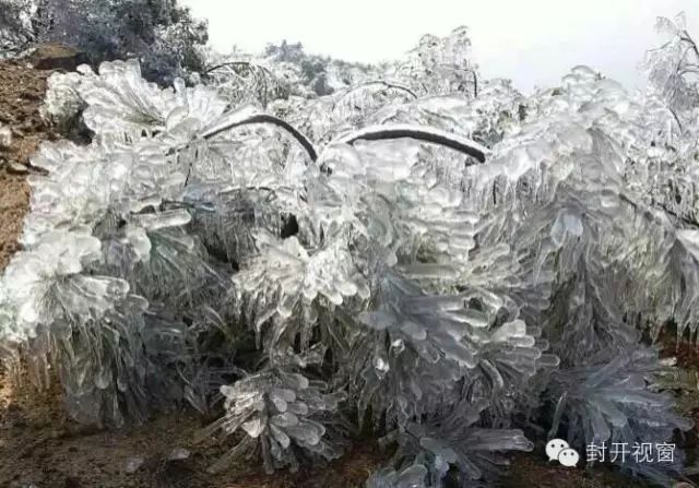 今年想去肇庆封开麒麟山看冰景的朋友注意!这篇文章有你想知道的!